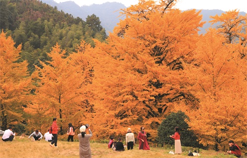 大圖 雙牌桐子坳(1053559)-20231125071335.jpg